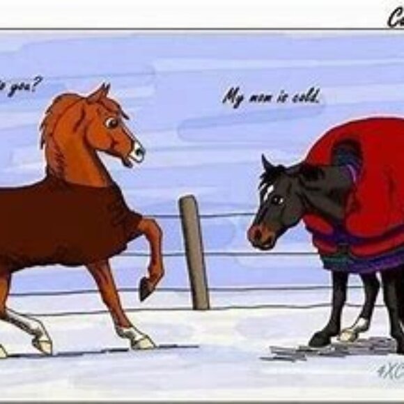 STAY WARM THIS WINTER - Picture 2 of 2